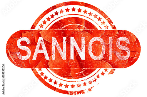 Fotografie sannois, vintage old stamp with rough lines and edges