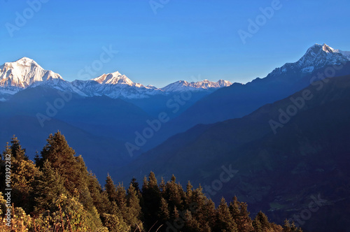Panorama view of the majestic of himalayan mountain range during sunrise, Poon Hill, Nepal