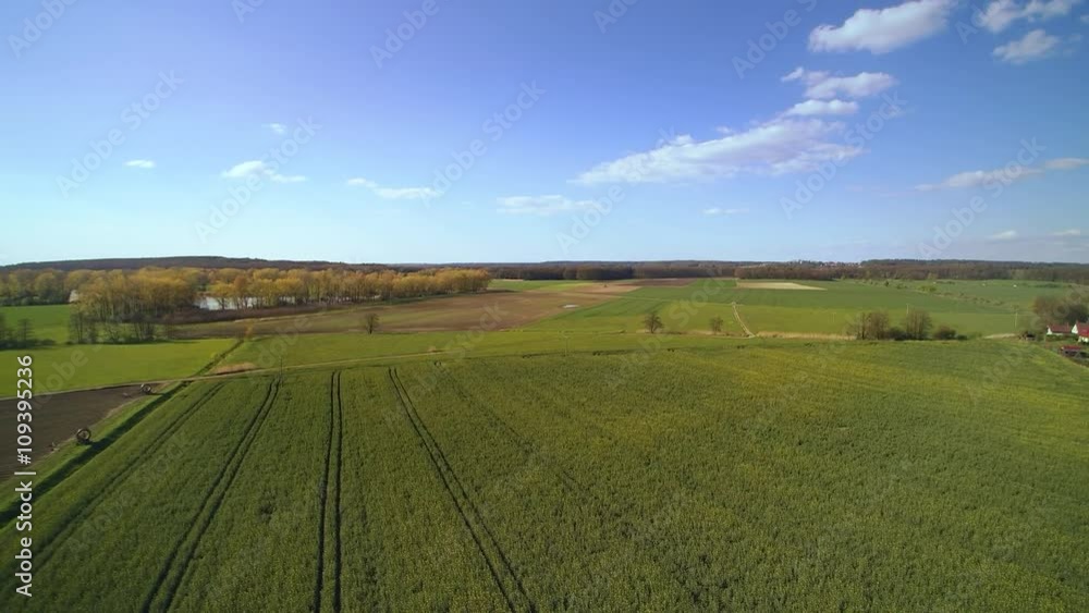 Aerial view of a field of oilseed rape in spring Aerial view of a field of oilseed rape in spring