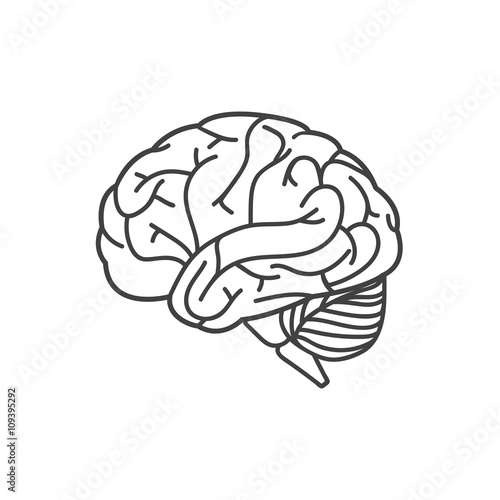 Human brain line icon