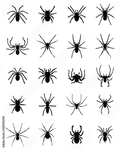 Fototapet Black silhouettes of different spiders, vector