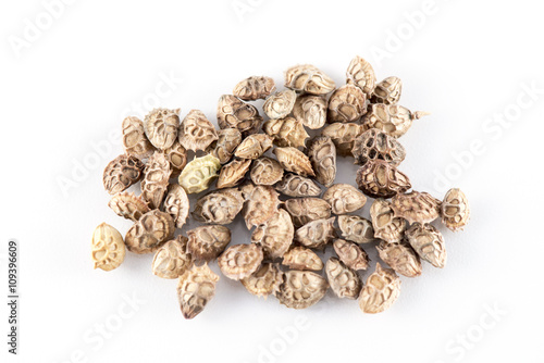 Lupinella seeds