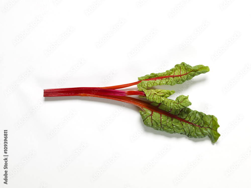 Naklejka premium rhubarb