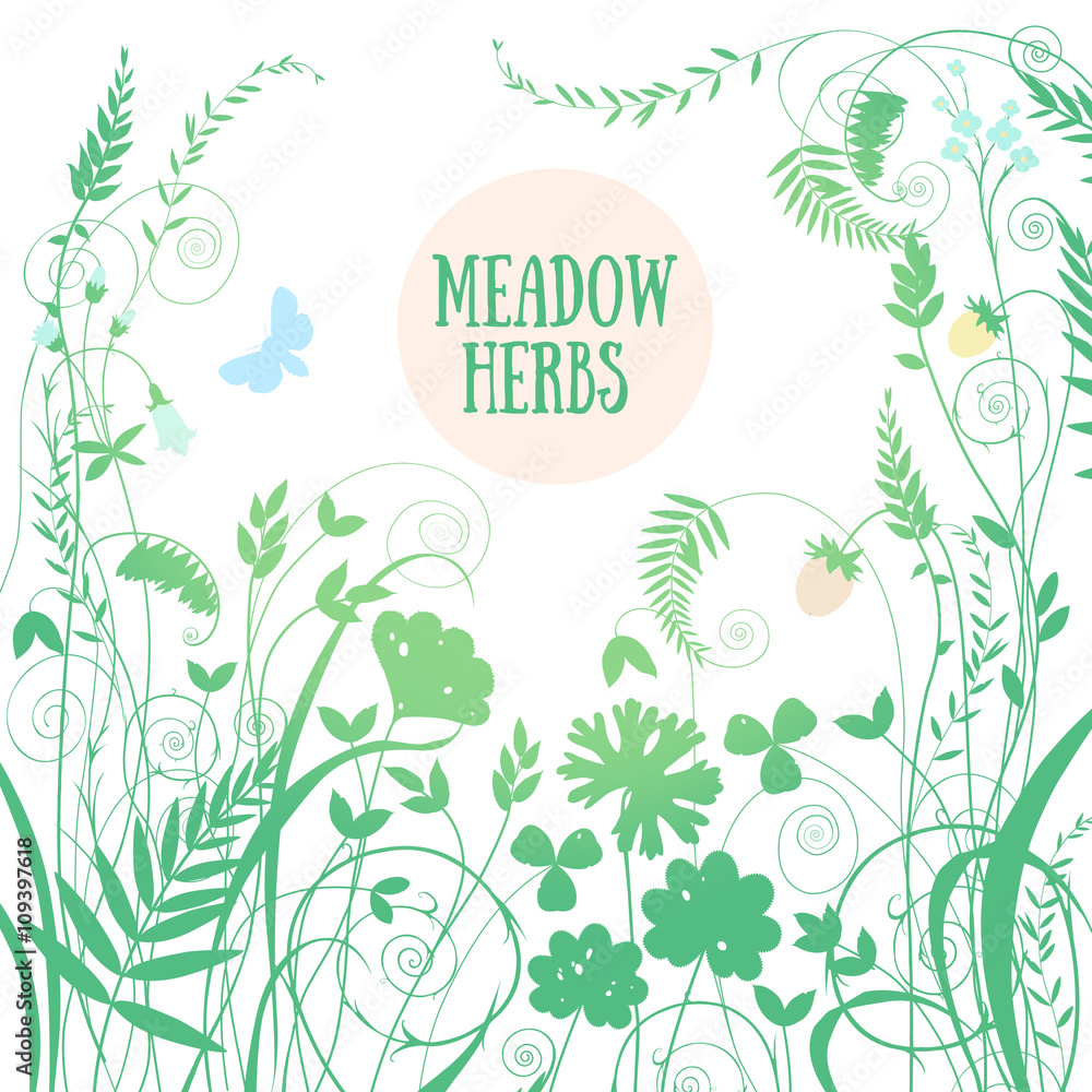 The background image is a square of meadow flowers and herbs The background image is a square of meadow flowers and herbs