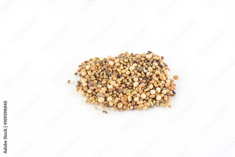 Seeds on white background