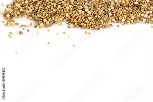 Seeds on white background
