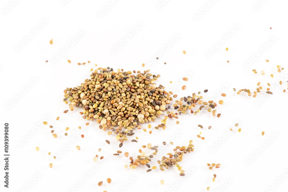 Seeds on white background