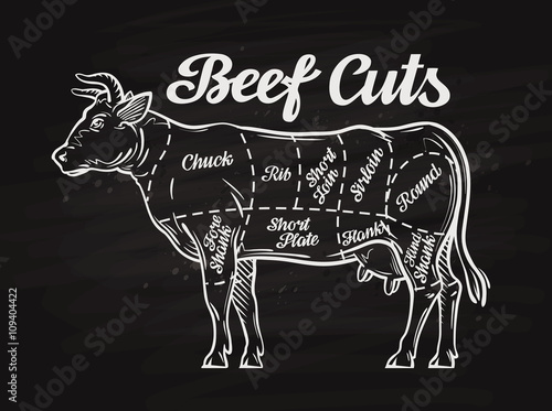 beef cuts. template menu design for restaurant, cafe photo