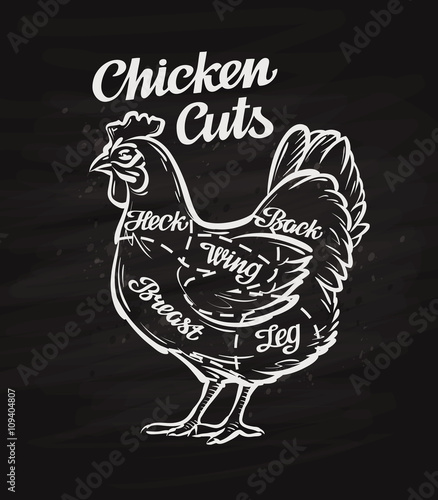 chicken cuts. template menu design for restaurant, cafe