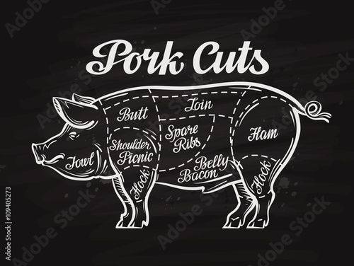 Fototapeta pig, pork cuts. template menu design for restaurant, cafe