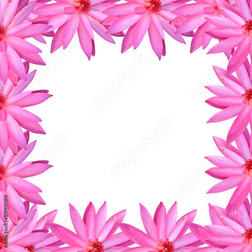 frame pink lotus isolated on white background. © meepoohyaphoto