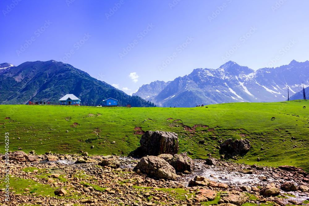 Beautiful mountain view with snow of Sonamarg, Jammu and Kashmir state, India