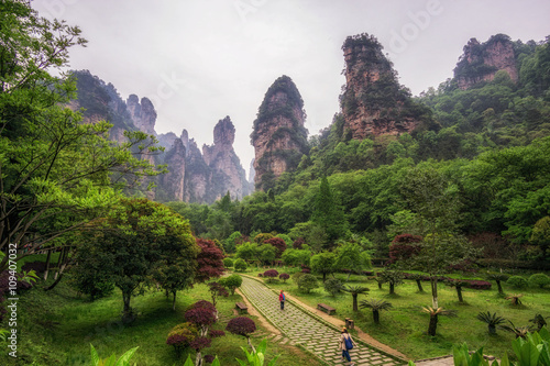 yuanjiajie national forest park