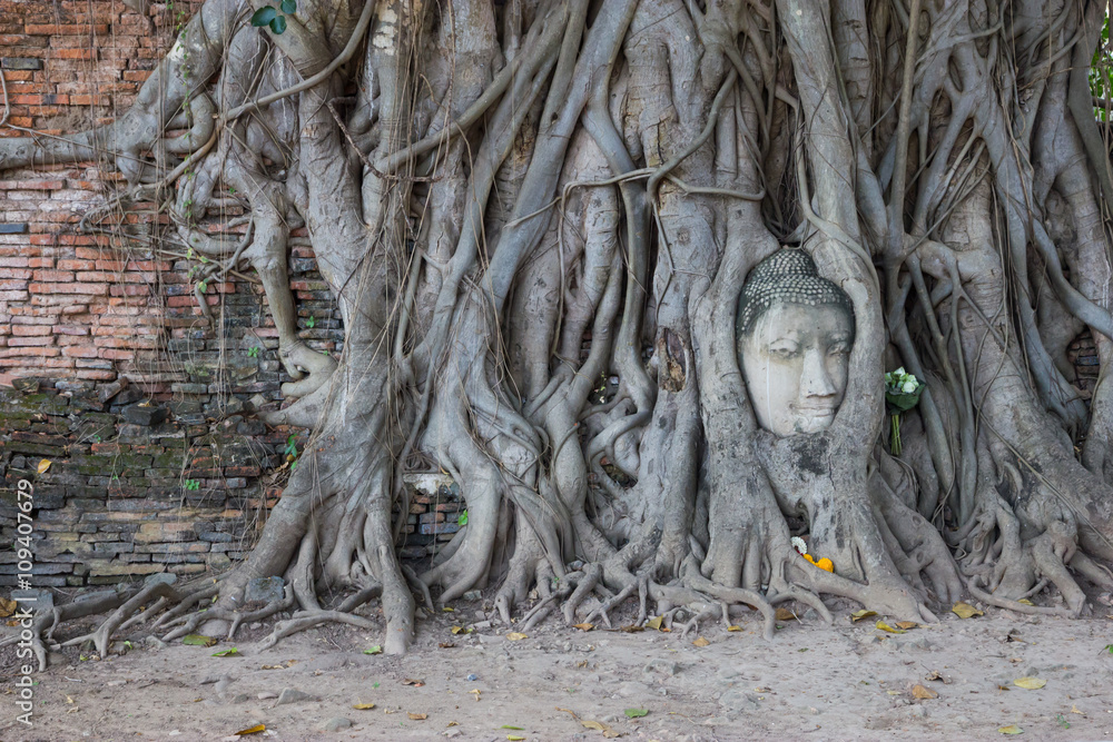 Buddha head in tree roots at Wat Mahathat, Ayutthaya, Thailand