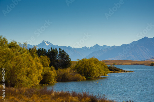 Landscape during Fall in New Zealand 