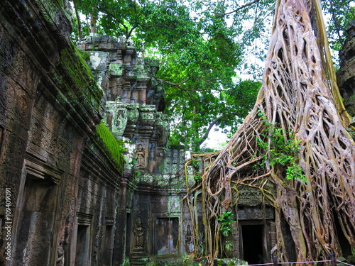 Ta Prohm temple,  Cambodia
