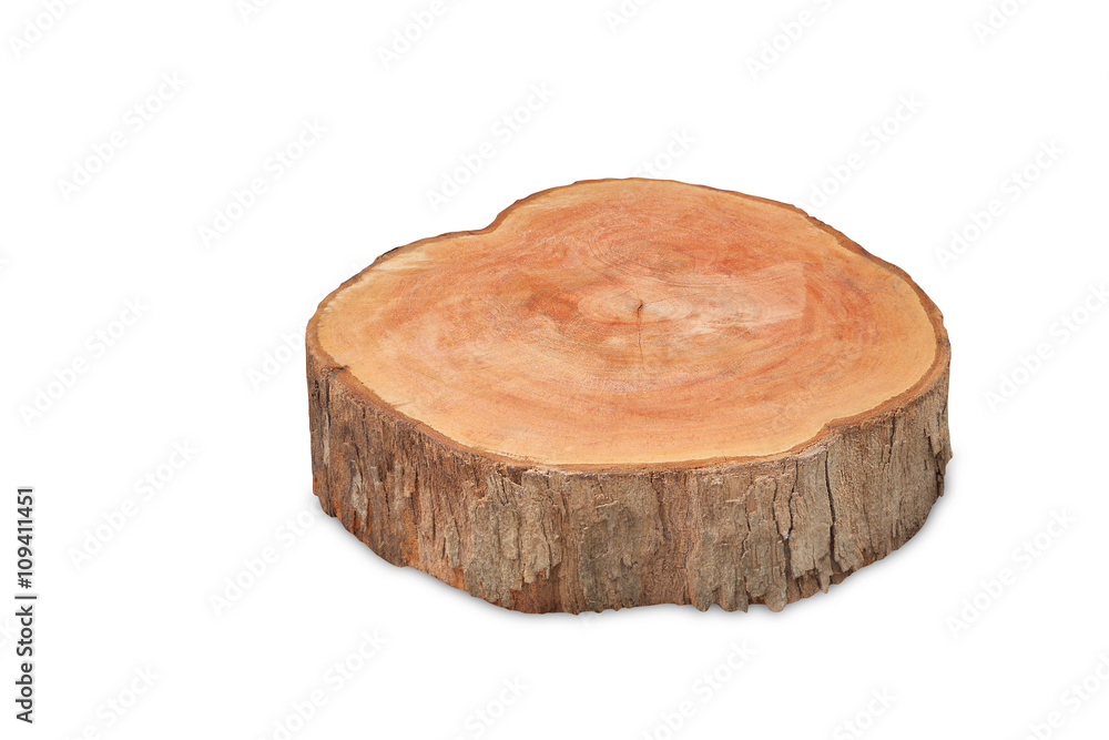  tree stump isolated on white background