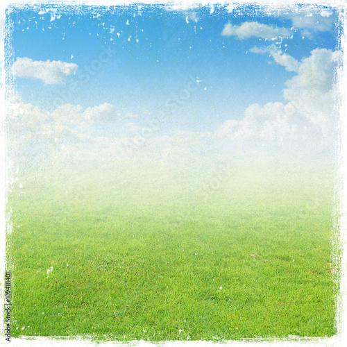 green grass field , nature background