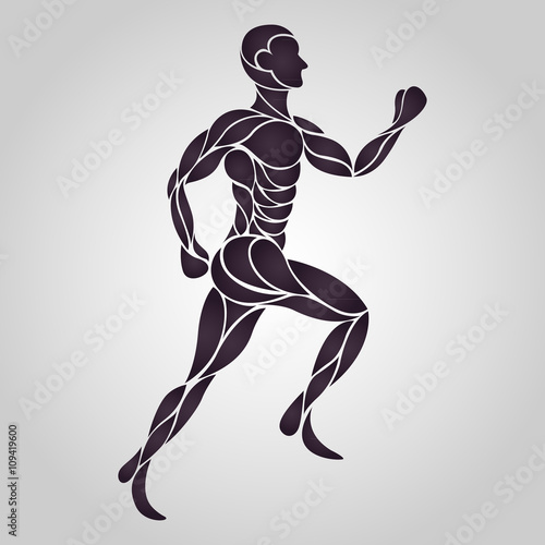 anatomy human run