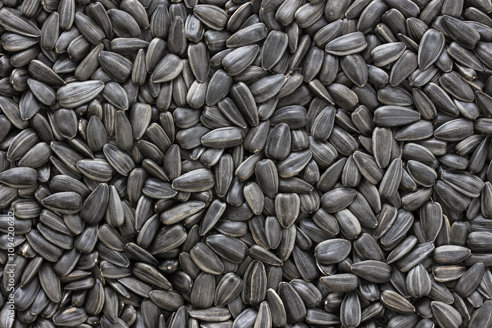 Black sunflower seeds texture or background. Black sunflower seeds texture or background.