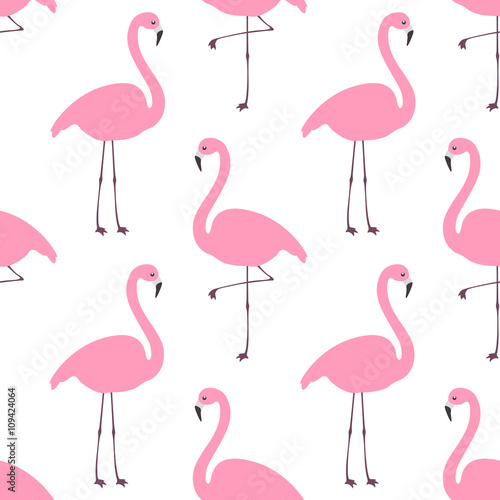 Flamingo wallpaper