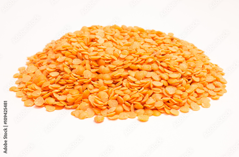 the seeds of red lentils on the white background the seeds of red lentils on the white background