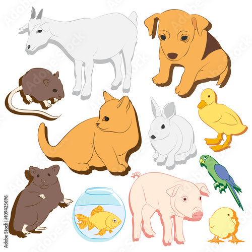 Animals pets vector colorful icons set