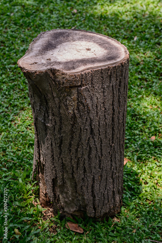 Old wooden stump.