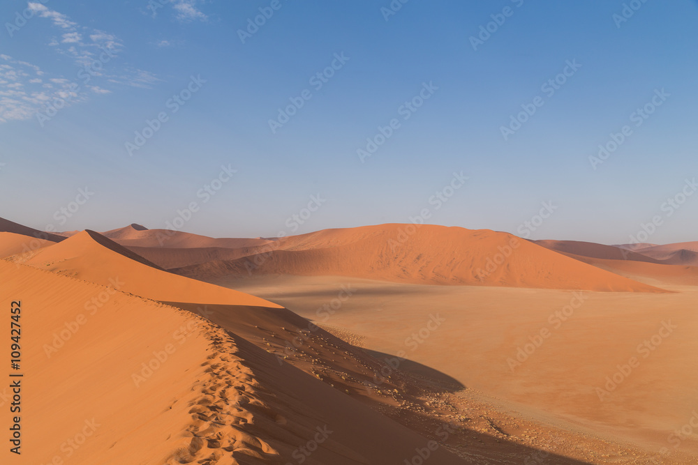 Sand Dune 45 in Sossusvlei, Namibia Sand Dune 45 in Sossusvlei, Namibia