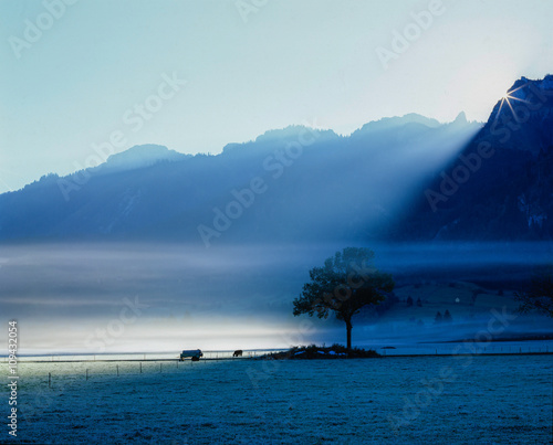 D, Allgäu, Schwangau; atmosphärischer Sonnenaufgang mit Nebelschwaden und Blick zum Tegelberg photo