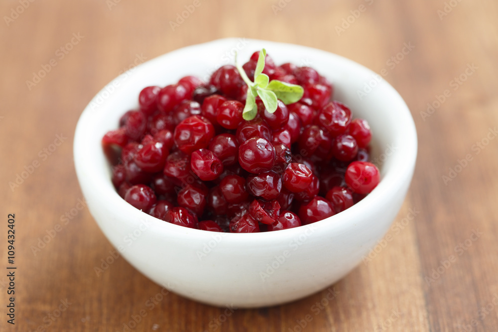 Lingonberry Lingonberry