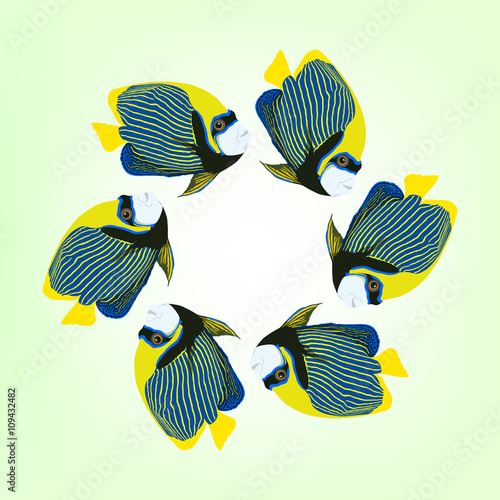Vector illustration of six swimming fishes.Pomacanthus imperator. Emperor angelfishes.
