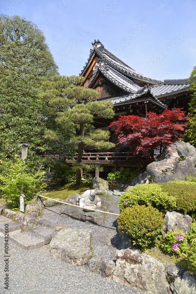 Fototapeta premium 松尾大社