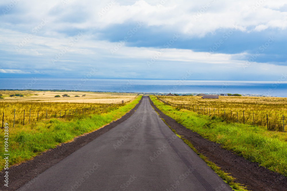 Beautiful road