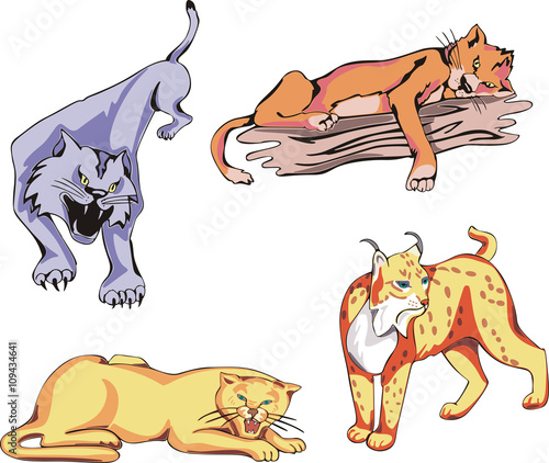 Wild Predator Cats Set