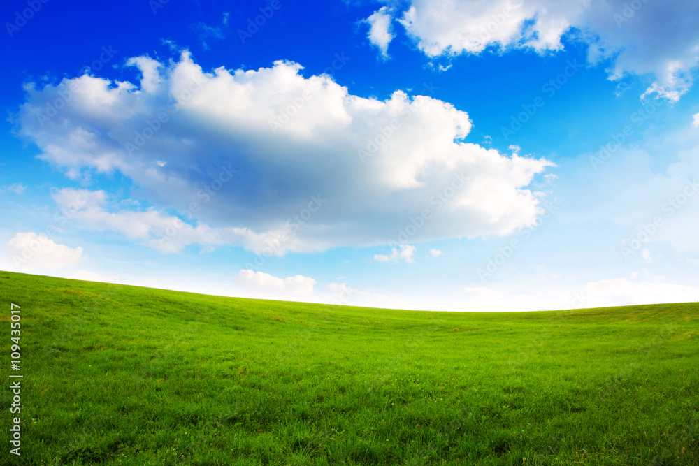 Summer landscape with green grass and blue sky.