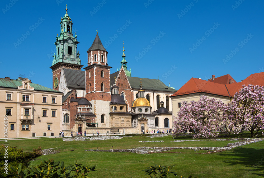 View on the cathedral on Wawel Hill in Krakow in Poland