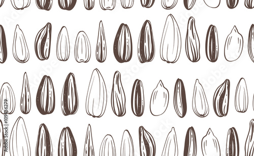 Seamless Sunflowers Seeds Background. Vector illustration.