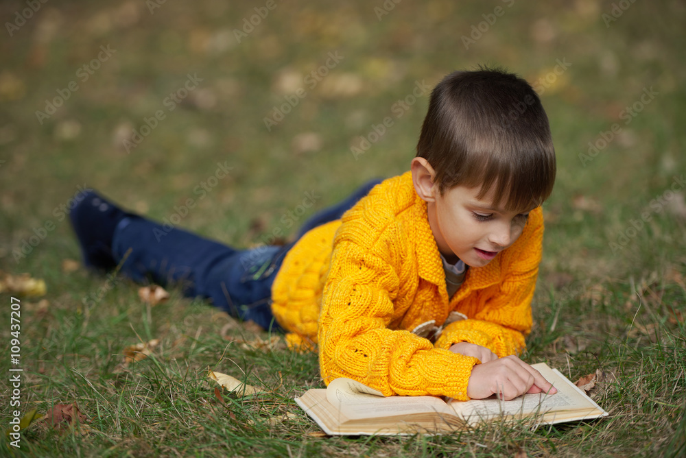 boy reading book lying on the grass boy reading book lying on the grass