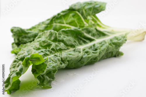 Spinach leaf on white artist canvas