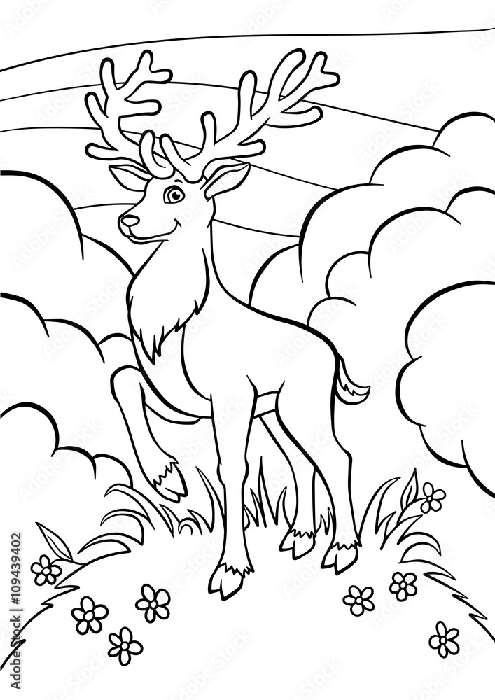 Obraz premium Little cute deer stands on the clearing and smiles.