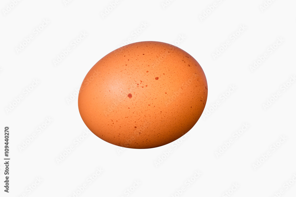 Chicken Egg Chicken Egg