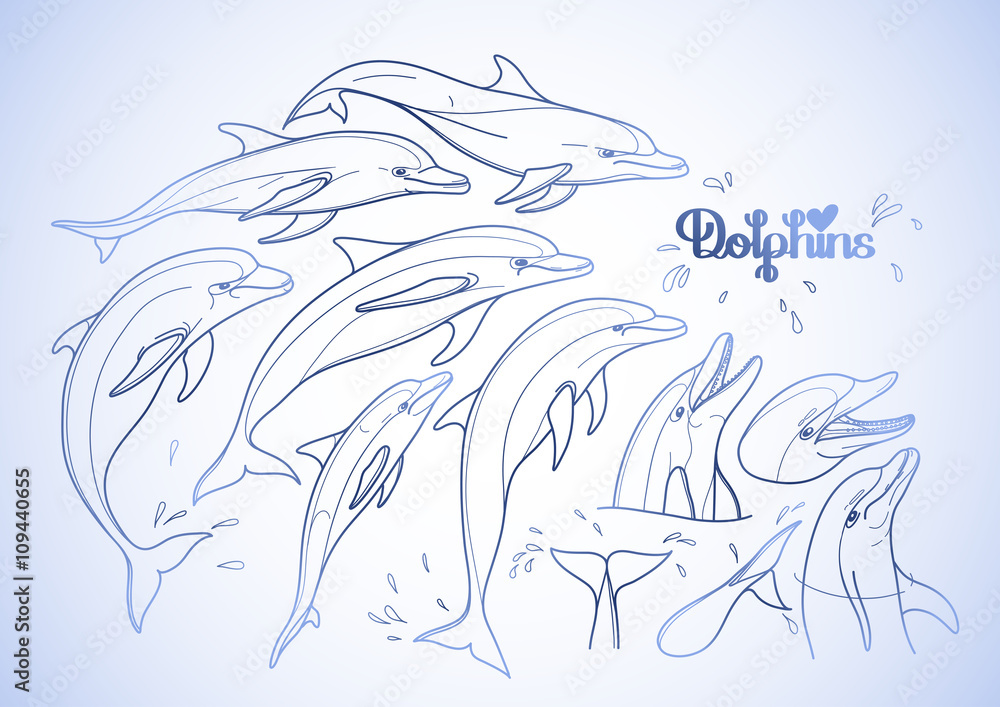 Graphic dolphins collection Graphic dolphins collection