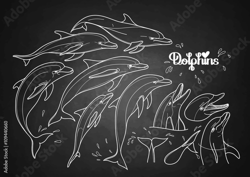 Graphic dolphins collection