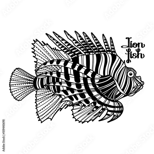 Graphic lion fish 