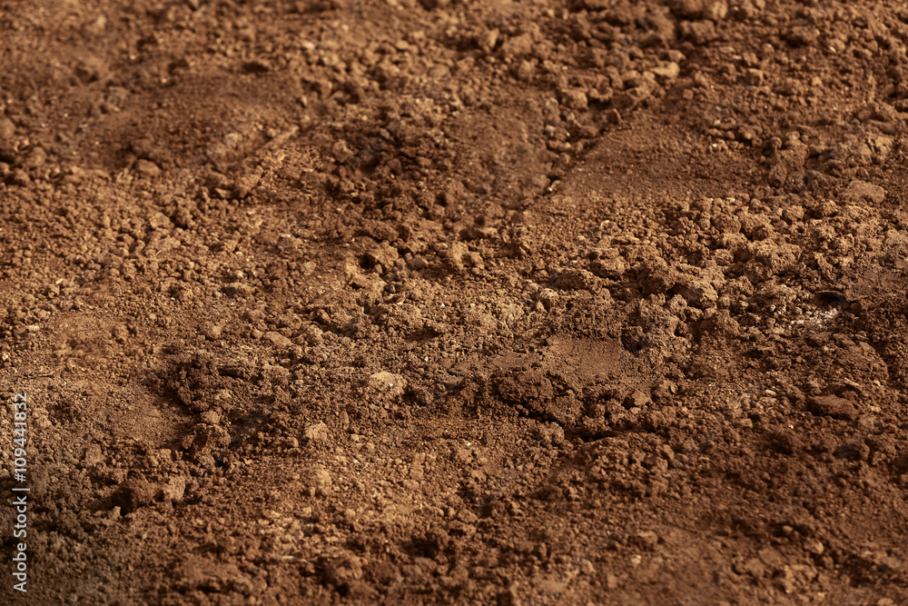 Soil of an agricultural field Soil of an agricultural field