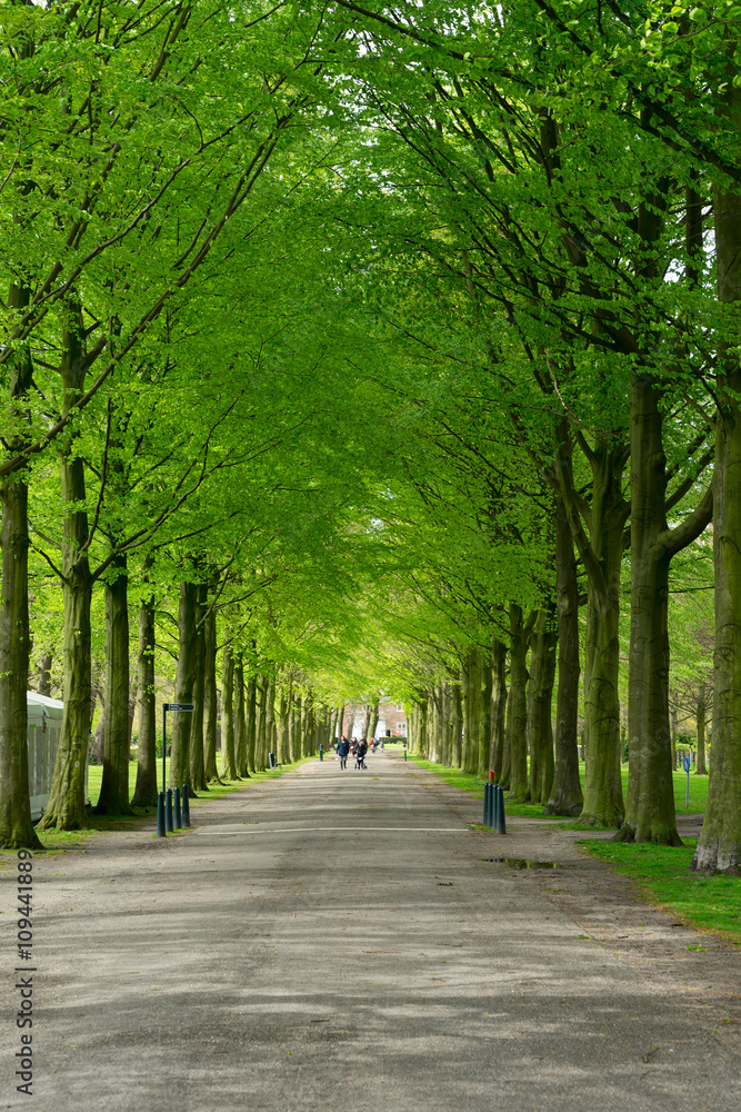 Clingendael park, Den Haag, Netherlands