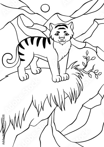 Fototapeta Naklejka Na Ścianę i Meble -  Little cute tiger stands and smiles.