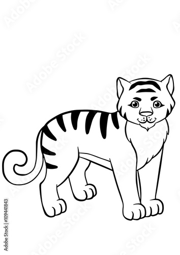 Fototapeta Naklejka Na Ścianę i Meble -  Little cute tiger stands and smiles.