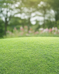 Green grass field with blurred pink flower and tree, nature back